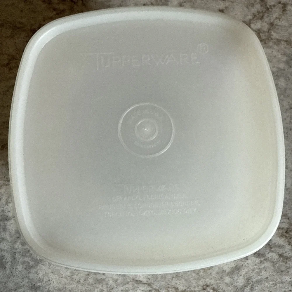 Tupperware Serve-ette Tray Bowl Lid seal dish beige brown Dip Vegetable 771-1
